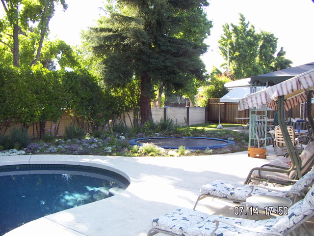 PICT0062.JPG